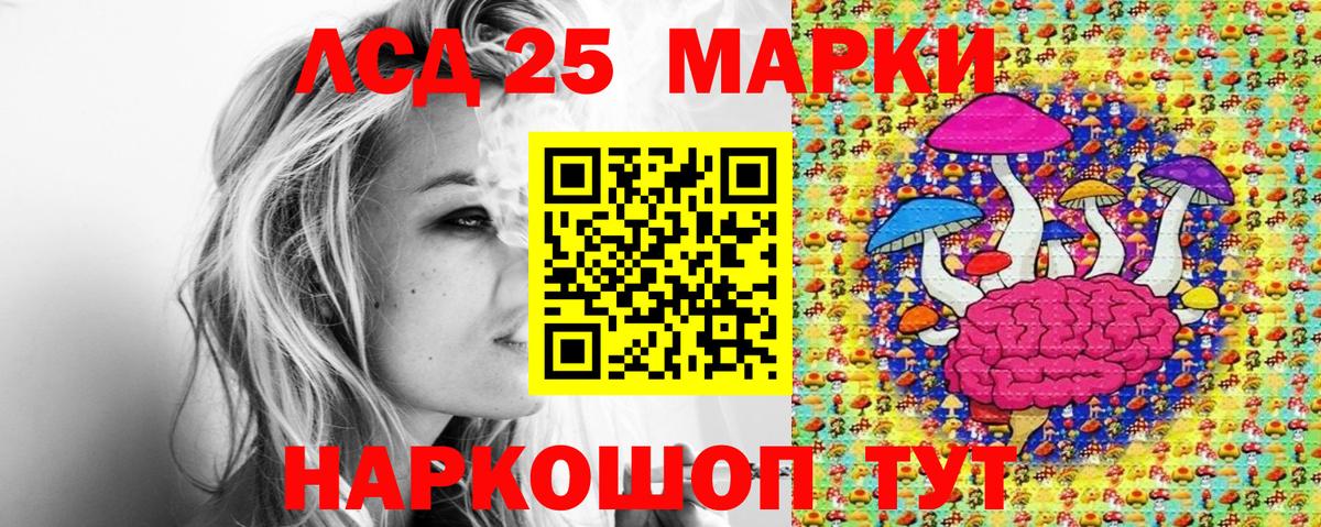 как найти закладки  Наркотические марки 1,8мг  Вход с VPN  Лесной  Наркотические марки 