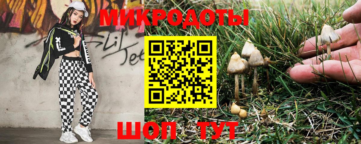 Галлюциногенные грибы Magic Shrooms  Вход с VPN  Лесной 